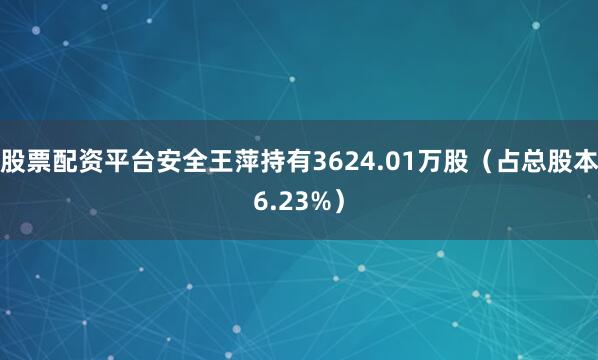 股票配资平台安全王萍持有3624.01万股（占总股本6.23%）