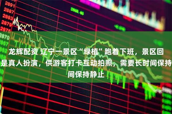 龙辉配资 辽宁一景区“绿植”跑着下班，景区回应：是真人扮演，供游客打卡互动拍照，需要长时间保持静止