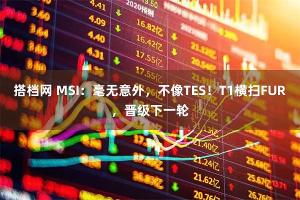 搭档网 MSI：毫无意外，不像TES！T1横扫FUR，晋级下一轮